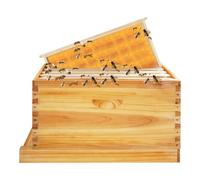 Fyssnn All-in-One Wood Bee Hive 5-Frame | Beekeeping Box Starter Kit | Garden Bee House for Beginners & Beekeepers | Complete Beekeeping Supplies for Backyard