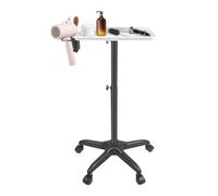 Fyssnn Removable Salon Tray Cart with Storage Platform Tattoo Tray with Adjustable Height & 360° Wheels Aluminium Beauty Hairdressing Trolley Service Instrument for Salon, Home, Spa Use (Silver)