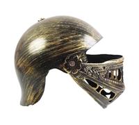 FytStycale Ancient Knight Medieval Costume Hat Children Adults PP Headgear for Theatre Performance Carnival Living Room Decoration, Style D