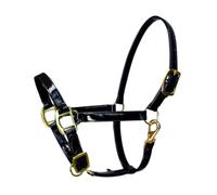 FytStycale And Microfiber Leather Headstalls for Ground Work, Lungeing for Competitions And Meadow Work, Black M