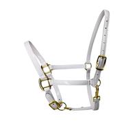 FytStycale And Microfiber Leather Headstalls for Ground Work, Lungeing for Competitions And Meadow Work, White M