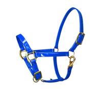 FytStycale And Microfiber Leather Headstalls for Ground Work, Lungeing for Competitions And Meadow Work, Blue L
