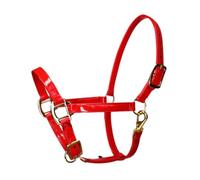 FytStycale And Microfiber Leather Headstalls for Ground Work, Lungeing for Competitions And Meadow Work, Red L