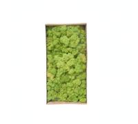 FytStycale artificial Foliage Easy to Use Decorative Spreading Ground Cover-Maintenance Plants for Florists, Home Decor, Model Landscapes , Tender Green