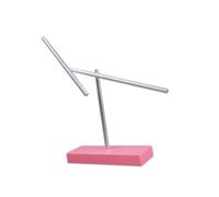 FytStycale Chaotic As A Physics Model And Educational Tool. A Ball Pendulum with An Elegant Look Made of Stainless Steel for The Study And As A Gift. Height 41 C, Pink