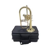 FytStycale Flugelhorn Gold-Tone Flugelhorn with Case Rich for Beginners, Rehearsals