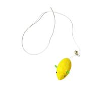 FytStycale Portable, And Self-playing Cat Toy with A Mouse Motif - Lightweight Catnip Set