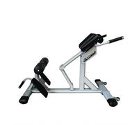 FytStycale Roman Chair Roller Pads Hyperextension Bench Slanted Design Back Extension Bench Multipurpose Workout Equipment , Silver