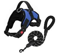 FYY Dog Harness No Pull - Breathable Adjustable Pet Vest With Lead, Reflective Oxford Easy Control Dog Harness with Sturdy Handle for Small Medium Large Dogs S-Blue