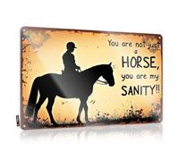 FZFN Emo Simple Decoration - You Are Not Just A Horse, You Are My Sanity!! Rustic Wall Art Ideas Easy Hang For Farmhouse(30X40CM)