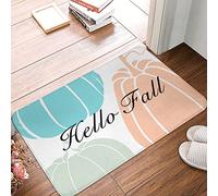 FZFN Indoor Welcome Mat Hand-Drawn Style Hello Fall Doormat 1 Porch Rugs Outdoor Waterproof Pool Decorations Out(50X80CM)