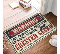 FZFN Shoes Here Mat Warning This Property Is Protected By A Highly Trained Crested Gecko Rug Fall Front Porch Decor Fall Outdoor Decorations(50X80CM)