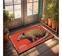 FZFN Summer Door Mat Outdoor Striped Armadillo: Sir Bandoleros Of East Asian America Doormat Backyard Decor Music Decor(40X60CM)