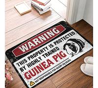 FZFN Welcome-Ish Outdoor Doormat Warning This Property Is Protected By A Highly Trained Guinea Pig Rug Outdoor Floor Mats For Home Entrance Fall Mats Out(40X60CM)
