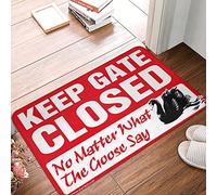 FZFN Welcome Mat Classroom Keep Gate Closed Noter What The Goose Say Rug Welcome Mats Outdoor Funny Plain Welcome Mat(65X90CM)