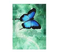 FZGGWYHL Blue Butterfly Pattern printed Flannel Blanket throw blanket