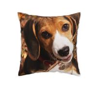 FZGGWYHL Cute Beagle printed Velvet Throw Pillow Cover Pillowcase