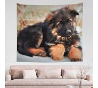 FZGGWYHL cute german shepherd puppy tapestry 60x51in Wall Hanging Aesthetic Tapestry