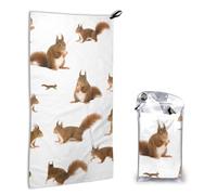 FZGGWYHL Cute Squirrel printed Quick dry towel 16x31.5in hand Towel