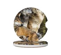 FZGGWYHL different colored wolves printed Ceramic Car Coasters 2 Pcs Car cup holder