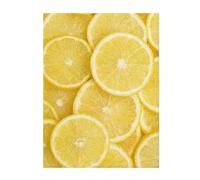 FZGGWYHL Yellow Lemon printed Flannel Blanket throw blanket