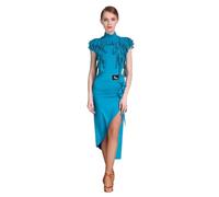 FZHQNZJF Blue,L, Latin Dance Dresses for Women Elegant Cha Cha Tango Training Costume High Collar Ballroom Performance Dancewear