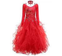 FZHQNZJF V Neck Ballroom Dance Competition Dresses Exquisite National Standard Dancing Skirt Waltz Salsa Performance Costume,Red,3XL