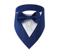FZJWIKO Wedding Collar with Big Bow for Pet Salons, Blue M | Elegant Big Cute Girl Dog Collar Necktie with Bow Tie for Small Girl Dogs Wedding Costumes