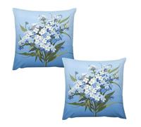 FZMVSQH 2 Pack Zippered Velvet Standard Pillowcases Do Not Forget Me Printed Plush Pillow Cases Body Pillow Cover Decorative Throw Pillow Shams No Inside Filler 18"×18"