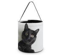 FZMVSQH Black Cat Lies Down Halloween Trick Or Treat Bag with Handle | Candy Bucket, 8x8in, Black Liner, Foldable Goody Shopping Tote, Easter Egg Hunt Basket, Reusable Holiday Party Favor Gift Bag