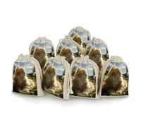 FZMVSQH Cat Sitting in Green Field 8 PCS Cotton Drawstring Bags Reusable Muslin Bags Natural Cotton Bag with Drawstring Small Jewelry Pouch for Party Wedding Fabric Gift Bag for Spice Herb Candy Soap