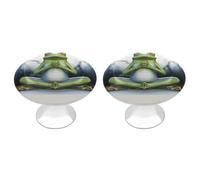 FZMVSQH Funny Yoga Frog Cabinet Knobs Pulls 2 Pack Vintage Drawer Knobs with Screw Round Dresser Pulls Cupboard Handles Kitchen Cabinet Hardware Closet Door Knob for Bathroom