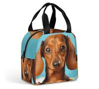 FZMVSQH Lunch Bag for Women & Men with Dachshund Dog Insulated Lunch Bag Adult Lunch Box Large Tote Bag And Reusable with Handle Travel Tote And Meal Prep Organizer