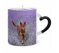 FZMVSQH Magic Coffee Mug Cups Personalized Dingo in Lavender Field Color Changing Mug Heat Sensitive Heat Changing Coffee Mugs with Handle 11 Oz Mugs Funny Ceramic Cup for Tea/Latte/Milk/Cocoa