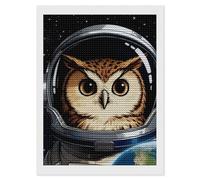 FZMVSQH Space Astronaut Owl 5D Diamond Art Kits for Adults Personalized Large Diamond Art DIY Full Drill Diamonds Dot Crystal Rhinestone Diamonds Painting Round Gem Art Kit for Home Wall Decor 12x16