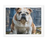 FZQVSGW Digital Oil Painting for Adults, Beginners Paint by Numbers Kits, English Bulldogs Digital Oil Paints by Number for Adults, Easy Canvas Art Print Kit for Home Wall Decoration 30x40cm