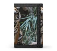 FZQVSGW Guitars Trifold Wallet Coin Purse With 8 Card Slots Credit Card Holder Divided Billfold Wallet, Tiger in the zoo, One Size, Modern