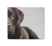 FZQVSGW Planet Stars And Galaxy Wallet, Leather Bifold Wallet, Slim And Stylish PU Card Holder, Small Coin Purse, Dog, One Size