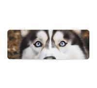 FZQVSGW Stationery Box with Detachable Design Creative Minimalist Storage Box Stupid Husky Dog ABS Durable Pencil Case 180° Lay-Flat & Secure Snap Closure for Office Supplies