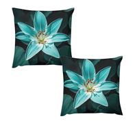 FZQVSGW Throw Pillow Covers 2 Pack Teal Lily Decorative Cushion Case for Sofa Bedroom Square Double-Sided Short Plush Pillow Case Modern Home Decors No Pillow Insert 20 "x20
