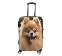 FZQVSWTX Washable Luggage Protector Suitcase Cover, Pomeranians Puppies Printed Travel Elastic Suitcase Protector Fits 19-32 Inch Luggage, Pomeranian dog, L