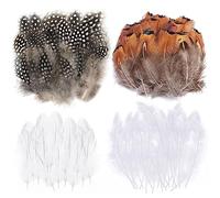 Fzyisw 200Pcs Feathers, White Feathers and Brown Natural Feathers for DIY Dream Catcher Crafts, Costumes, Hats, Handicrafts, Home Decor, Halloween, DIY Decoration