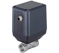 G 1 inch Stainless Steel 24VDC 2-Way Open/Close Disc Valve 3285 269187