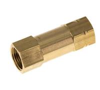 G 3/8'' Female Threaded Brass Check Valve 0.4-40 bar (5.8-580 psi)