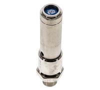 G 3/8'' Nickel-plated Brass Pre-Set Safety Valve 12 bar (174.05 psi) DN 10