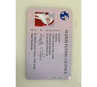 (G) 50 X Plastic Santa Claus Flying Licence Christmas Eve Box Driving Licence Style