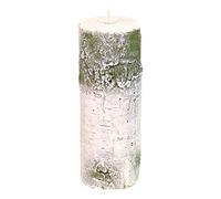 G Decor Birch Tree Log Effect Grey 3D Owl Figure Pillar Candle (Large Tree Log)