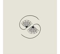 Godspeed You! Black Emperor - G_ds Pee AT STATES END!