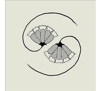 Godspeed You! Black Emperor - G_ds Pee AT STATES END!