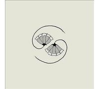 Godspeed You! Black Emperor - G_D'S Pee At State'S End! [VINYL]